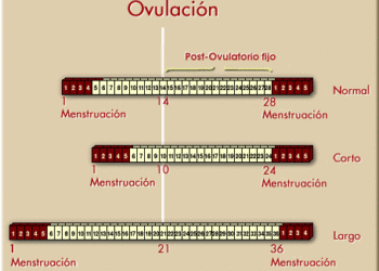 OVESP5 OVESP5